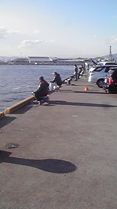 小名浜 港 釣り