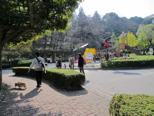 蓮華寺池公園