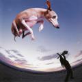 Paul Gilbert-Flying dog