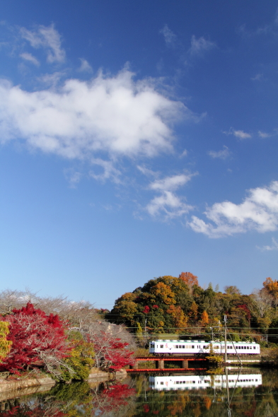 2013/11/30 和歌山電鐵貴志川線 大池遊園
