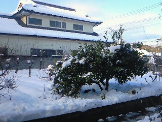 雪景色20140209 (1)