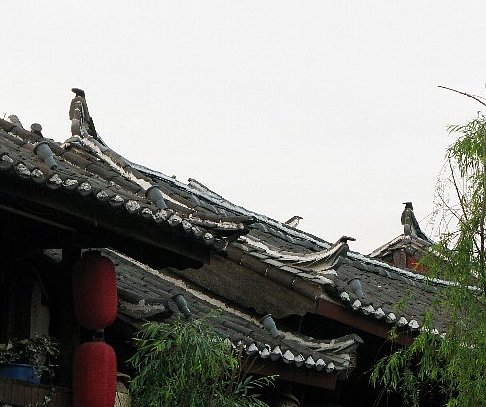 麗江古城　屋根 の鳥