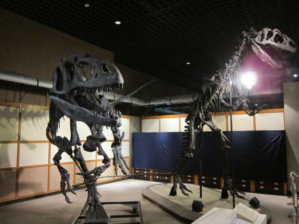 恐竜ワールド（県立博物館）